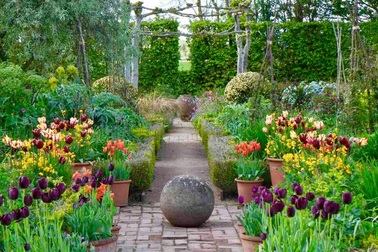 Nam MC nổi tiếng biến đất hoang thành vườn xanh tươi mát mắt, hoa nở 4 mùa