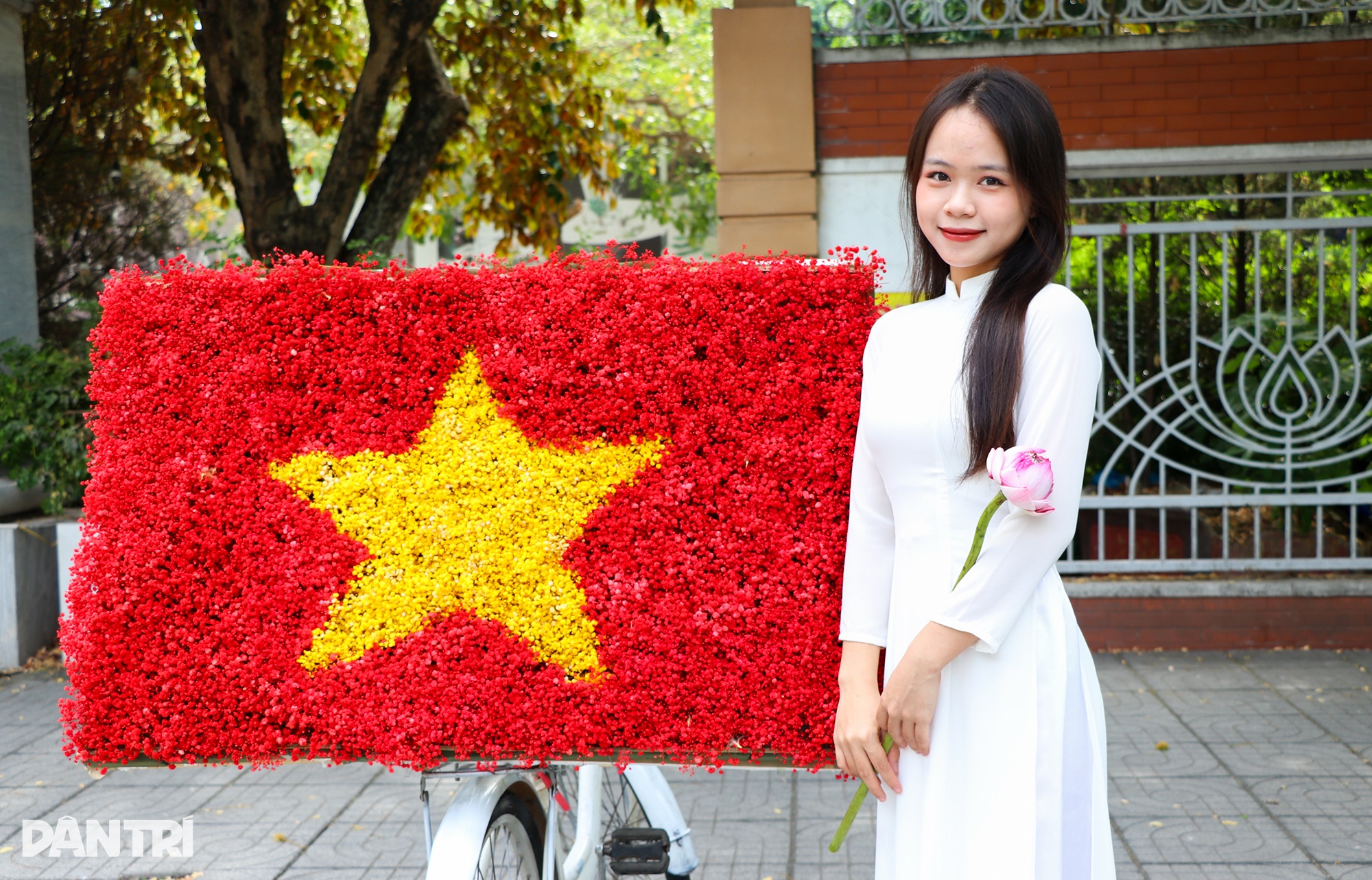 នារីទីក្រុង Vinh បង្អួតសម្រស់នារដូវស្លឹកឈើជ្រុះលើវិថីស្អាតបំផុតក្នុងទីក្រុង - ៥ Thiếu nữ thành Vinh khoe sắc trong nắng thu ở con đường đẹp nhất thành phố - 5