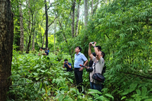 Làm hồ chứa nước trên 600ha rừng: Vì sao Bình Thuận chưa gửi hồ sơ ĐTM?