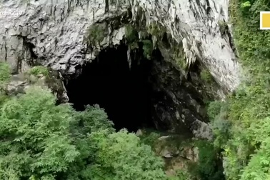 Hố sụt "tử thần" chứa thực vật quý hiếm và hóa thạch động vật biển cổ đại