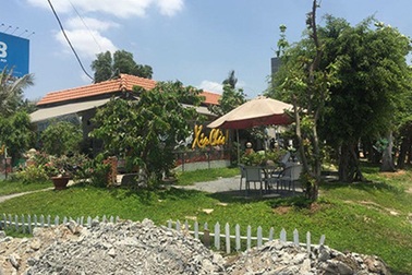 Tổng rà soát tất cả vụ án giống Xin chào và 'Chòi vịt'