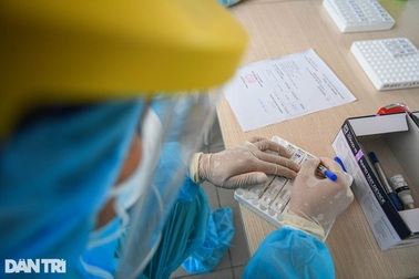 Chuyên gia lo ngại dịch bùng phát trở lại sau vài tháng nữa