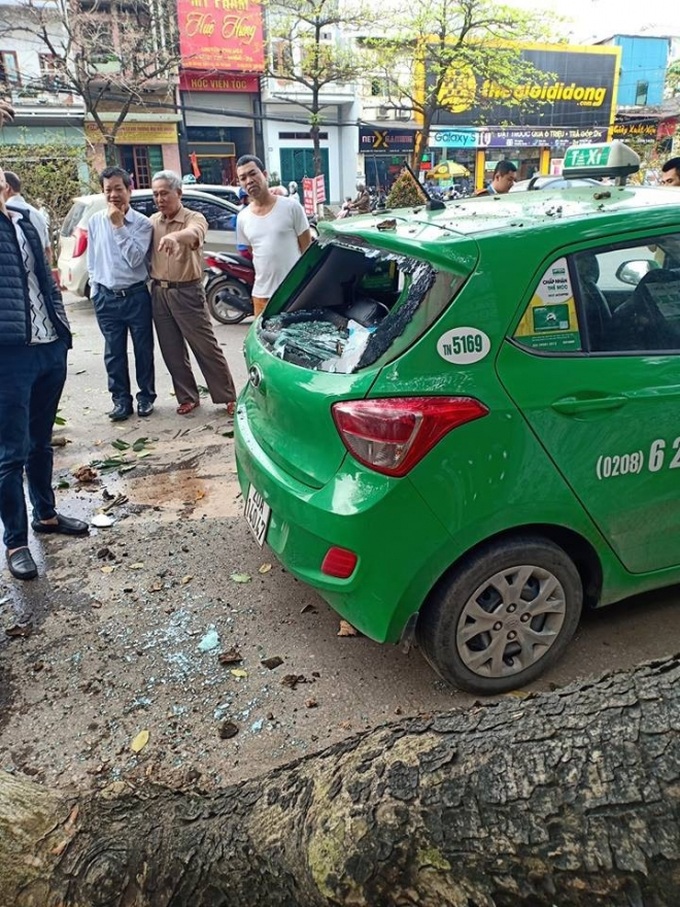 Cành cây gẫy đè trúng 2 ô tô trên đường, khoảnh khắc tài xế thoát nạn khiến bao người thở phào - Ảnh 1.