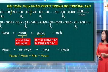 Ôn tập Hóa học thi tốt nghiệp THPT 2020: Bài toán hợp chất hữu cơ với dung dịch axit