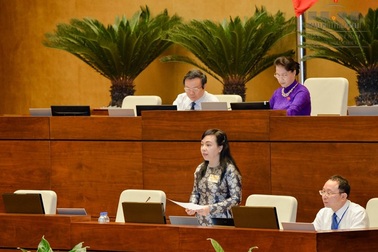 Đại biểu muốn chất vấn, sao Bộ trưởng Giao thông, Y tế không đăng đàn?