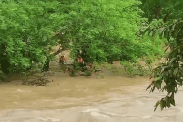 Quyết định táo bạo trong lũ dữ cứu mạng sống bé 9 tháng tuổi