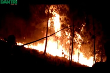 Huy động hàng trăm người dập đám cháy rừng thông trong đêm