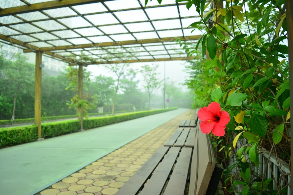 Dấu ấn khu đô thị nghỉ dưỡng tại Hà Nội - 4 Dấu ấn khu đô thị nghỉ dưỡng tại Hà Nội - 4