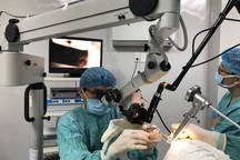 Cứu bệnh nhân ung thư hạ họng, thanh quản giai đoạn sớm nhờ kỹ thuật mới