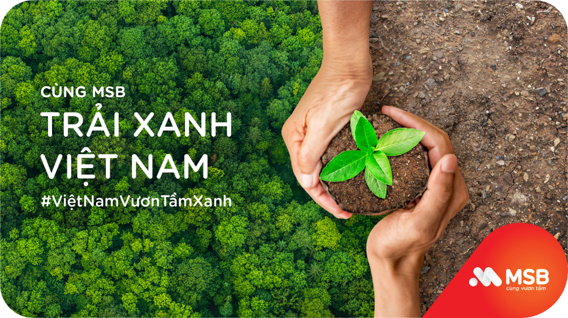 MSB và hành trình trải xanh Việt Nam - 1 MSB và hành trình trải xanh Việt Nam - 1