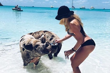 Kỳ nghỉ hè trong mơ của hội con nhà giàu