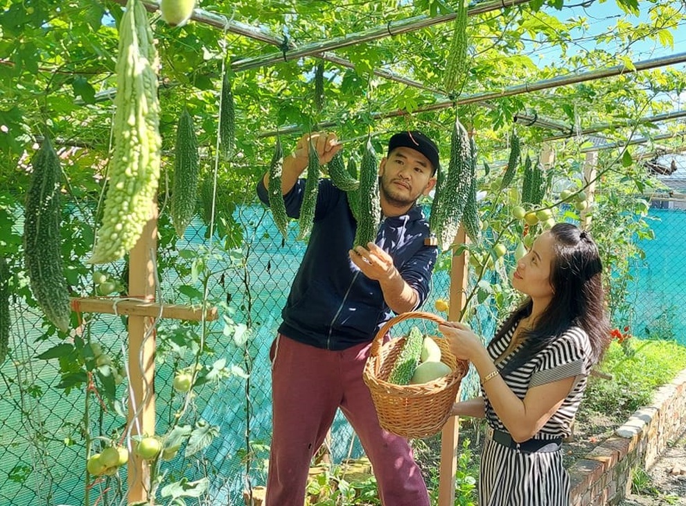 Cải tạo đất toàn sỏi đá, ông bố gốc Việt có vườn toàn trái khủng ở Séc - 8