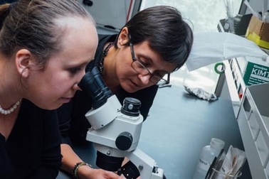 Hợp kim mới bền cứng gấp bốn lần titan