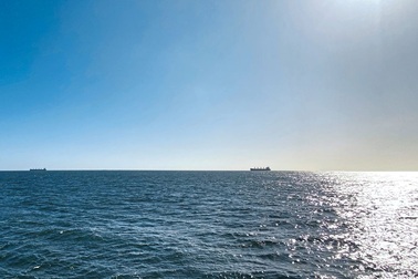 Du khách mắc kẹt trên biển gần 1 tháng vì đại dịch Covid-19