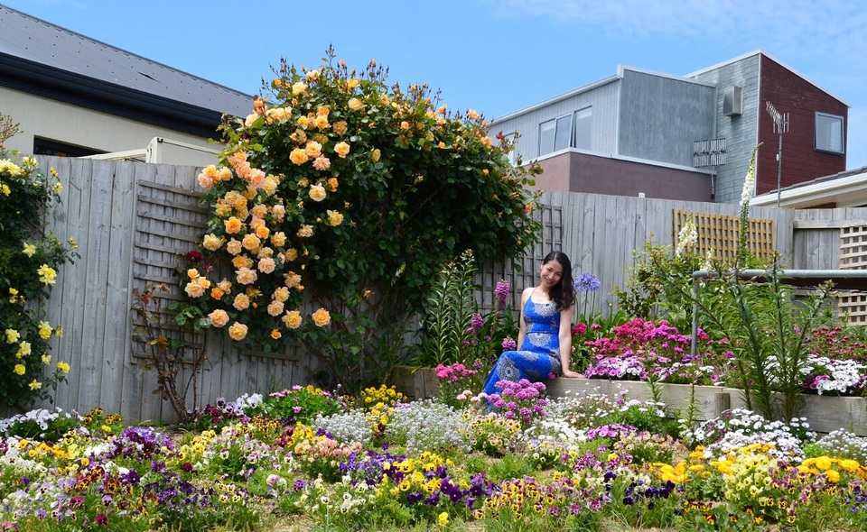 Khu vườn gần 50 loài hoa hồng khoe sắc quanh năm của mẹ Việt ở Úc - 13