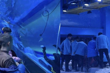 Thợ lặn chết đuối trong thủy cung, khách đứng nhìn không biết