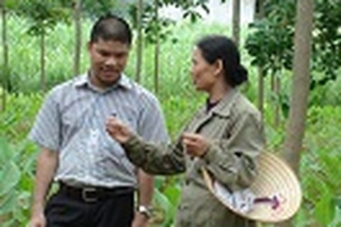 Khát vọng tìm hướng đi cho “Vàng xanh” Việt Nam