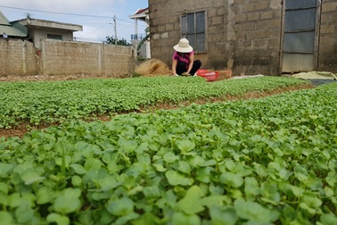 Quảng Trị phấn đấu đưa tỷ lệ lao động qua đào tạo đạt 68,5% trong năm 2021