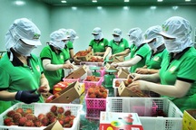 Bộ Công Thương: Mỹ sẽ không áp biện pháp hạn chế thương mại lên hàng Việt