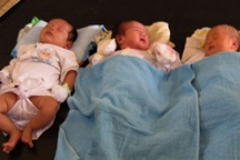 3 bé sơ sinh bị bỏ rơi đáng thương ở chùa Long An