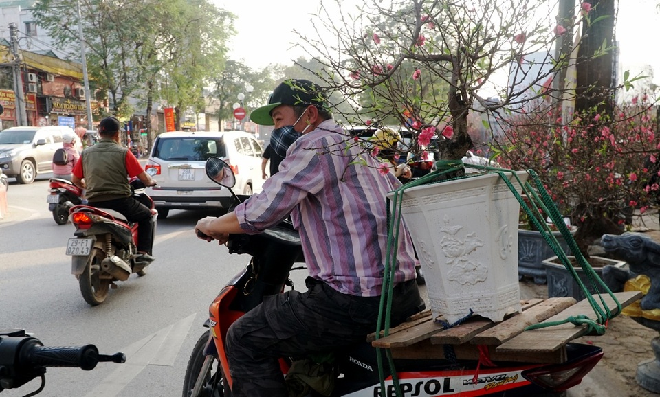Kiếm bạc triệu mỗi ngày nhờ chở cây cảnh thuê dịp Tết - 7 Kiếm bạc triệu mỗi ngày nhờ chở cây cảnh thuê dịp Tết - 7