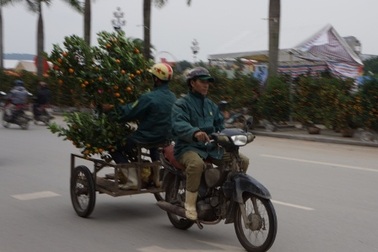 Cận Tết, "hốt bạc" nhờ vận chuyển hoa, cây cảnh