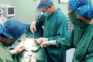 Cháu bé 5 tuổi bị chó nhà cắn rách da đầu