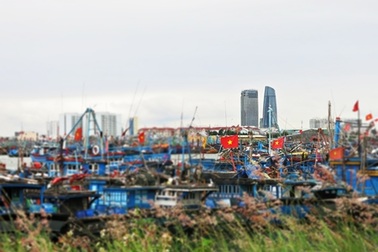 Chắp cánh cho âm nhạc địa phương từ “tín hiệu SOS” của Đà Nẵng