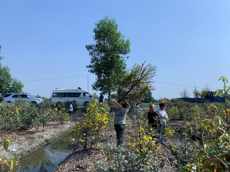 Tiểu thương quyết không giảm giá hoa dù cận Tết - 8 Tiểu thương quyết không giảm giá hoa dù cận Tết - 8
