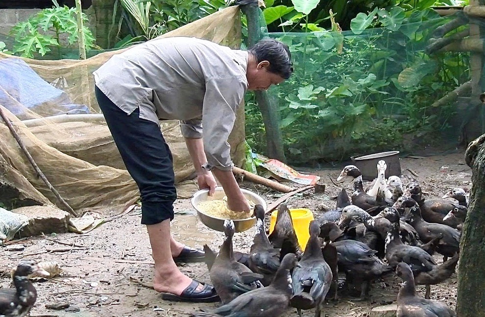 Nguồn vốn chính sách giúp người dân Phú Thọ thoát nghèo - 1