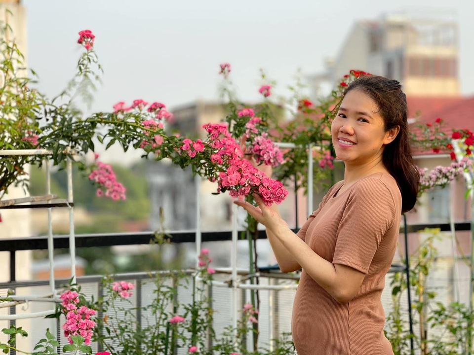 Choáng ngợp khu vườn trên mây với gần 100 giống hồng của mẹ đảm Sài Gòn - 7 Choáng ngợp khu vườn trên mây với gần 100 giống hồng của mẹ đảm Sài Gòn - 7