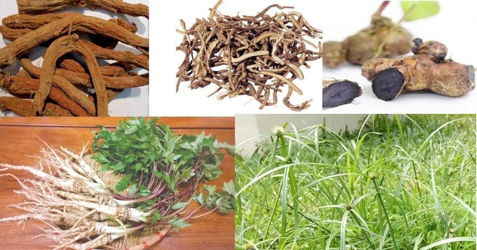 Món quà sức khỏe” cho phụ nữ bị lạc nội mạc tử cung - 3 Món quà sức khỏe” cho phụ nữ bị lạc nội mạc tử cung - 3