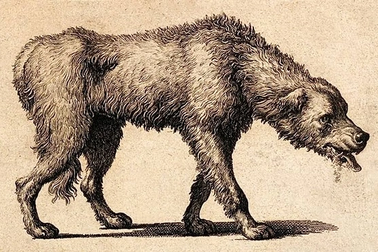 Virus bệnh dại: Loại virus cổ xưa đáng sợ, theo đuổi con người tới ngày nay