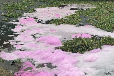 Kinh hãi dòng nước thải nổi bọt hồng, bốc mùi nồng nặc