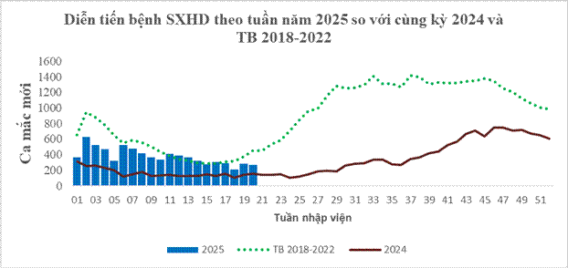 Hai bệnh truyền nhiễm nguy hiểm cùng leo thang tại TPHCM - 2