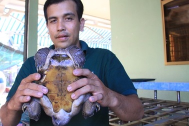 Truyền hình Đài Loan sang Việt Nam tìm “đại gia tâm thần”