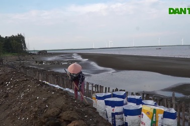 Ruộng sát biển, nông dân trắng đêm chong đèn phòng chống triều cường