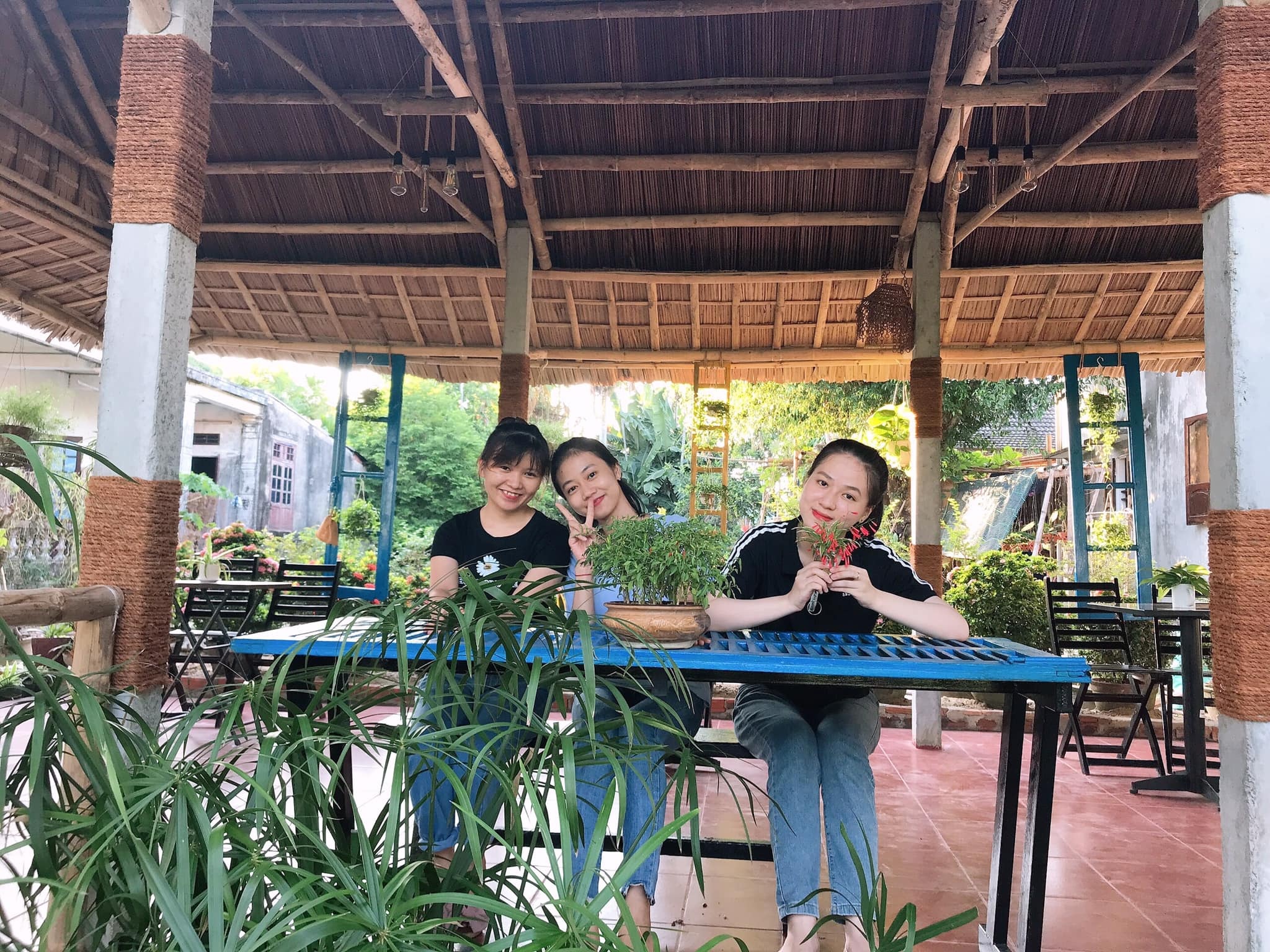 2 quán cà phê view cánh đồng bất tận, quanh năm thơm mùi lúa ở Hội An - 10 2 quán cà phê view cánh đồng bất tận, quanh năm thơm mùi lúa ở Hội An - 10