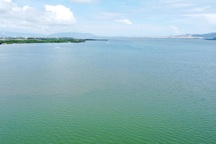 Nghiên cứu xử lý cát nhiễm mặn để san nền dự án cao tốc Quy Nhơn - Pleiku