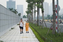 Hà Nội: Xuất hiện thêm "thiên đường" hoa sữa mới