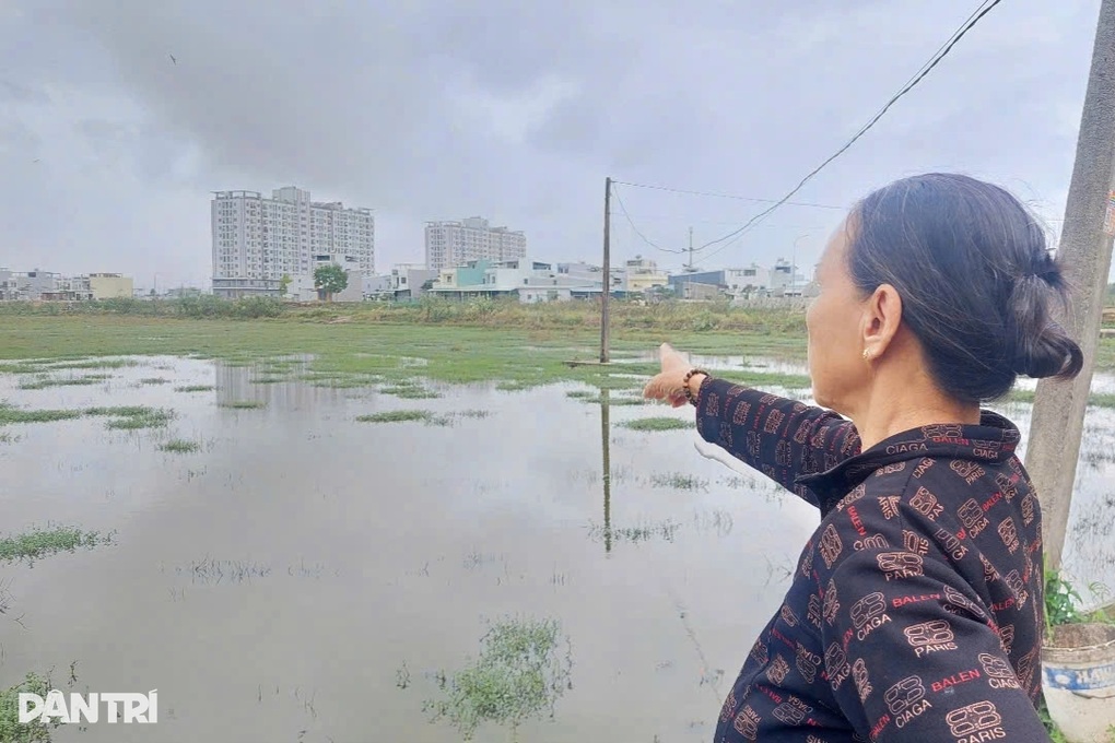 Nông dân bỏ ruộng hoang vì dự án thi công chặn mương thoát nước - 1 Nông dân bỏ ruộng hoang vì dự án thi công chặn mương thoát nước - 1