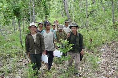 Việt Nam thu 1.200 tỷ đồng phí dịch vụ môi trường rừng mỗi năm