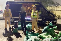 CSGT Quảng Ninh bắt xe khách chở gần 400 bình khí cười