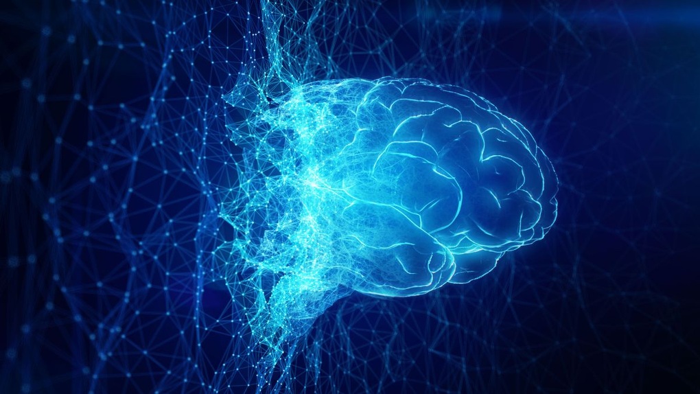 Sử dụng AI có thể làm mỏng kiến thức của bạn - 1 Sử dụng AI có thể làm mỏng kiến thức của bạn - 1