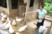 Nổi bật trong chính sách giảm nghèo là sự quan tâm tới phụ nữ và trẻ em