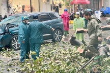 Cây xanh bật gốc đè ô tô tại TPHCM, ai chịu trách nhiệm?