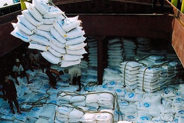 Bát nháo xuất khẩu gạo thơm