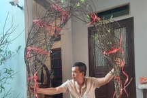 Không khí lạnh về, nhiều người đua nhau săn đón đào nở sớm