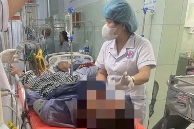 Người đàn ông hôn mê, tím tái sau khi nhặt cá nóc trên bờ biển nướng ăn