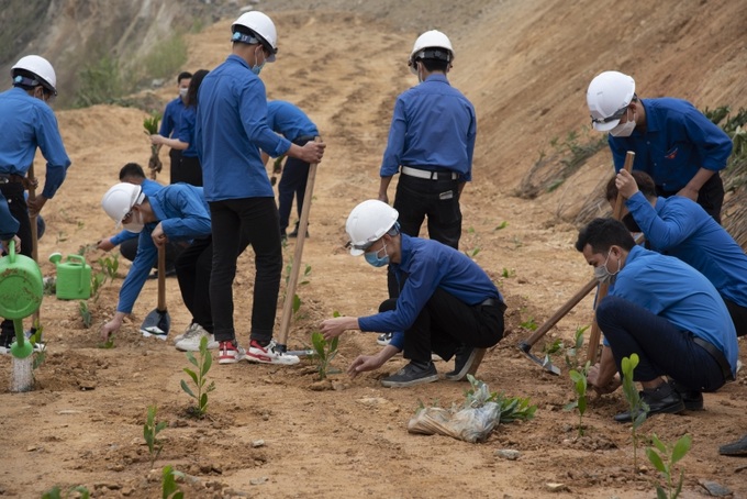 4000 cây xanh được các đoàn viên thanh niên trồng tại khai trường Chi nhánh Mỏ tuyển đồng Sin Quyền ngay sau buổi lễ phát động thi đua